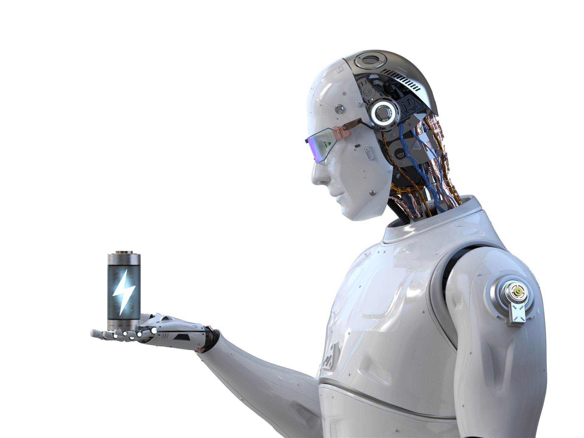 shutterstock_2390421077 shutterstock_2390421077